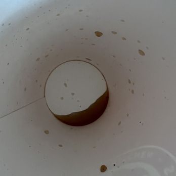 Panda Express - Medium Drink - Chinese Near Me - Jacksonville, Florida Panda Express - Medium Drink - Chinese Near Me - Jacksonville, Florida