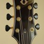 Photo of Olson Guitars