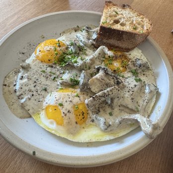 Façade Bakery - Mushroom and eggs - Bakeries Near Me - Coral Gables, Florida