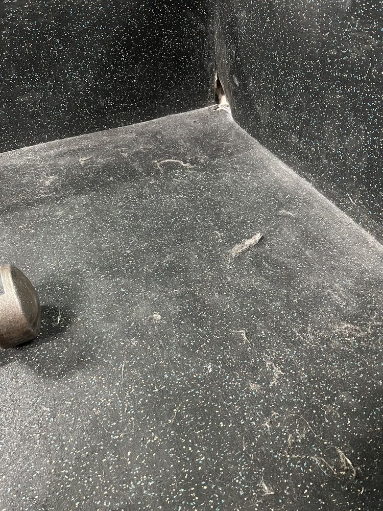 Social spots from The Gym