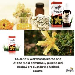 Talya Herbal