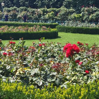 Volksgarten Pavillon - Cafes Near Me - Vienna, 9 Volksgarten Pavillon - Cafes Near Me - Vienna, 9
