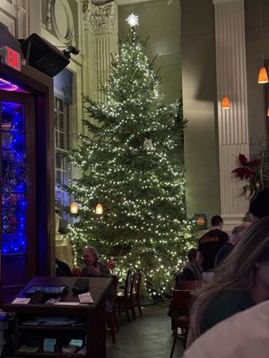 The Plough & the Stars by null