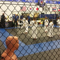 Tiger Martial Arts Academy - Portsmouth