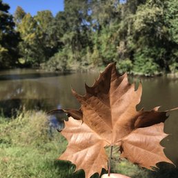 a hand holding a leaf a hand holding a leaf