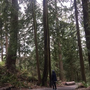 Snoqualmie Falls - When we first started walking down the trail, it was like walking through an enchanted forest. So beautiful! - Parks Near Me - Snoqualmie, Washington
