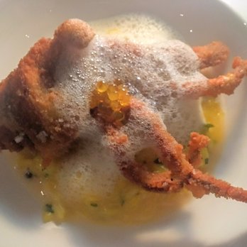 Altitude Restaurant - Softshell crab special - Australian Near Me - The Rocks, NSW Altitude Restaurant - Softshell crab special - Australian Near Me - The Rocks, NSW