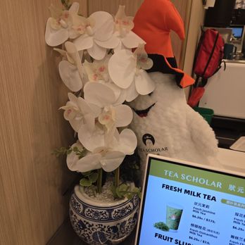 Tea Scholar - Decor - Bubble Tea Near Me - Flushing, New York