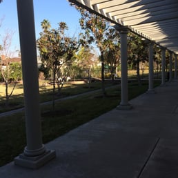 View from outside her room of the garden.