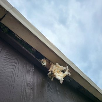 Stewart Exteriors - This was my roof before that allowed water to get in - Roofing Near Me - Old Hickory, Tennessee Stewart Exteriors - This was my roof before that allowed water to get in - Roofing Near Me - Old Hickory, Tennessee