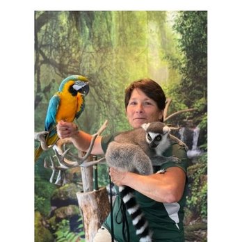 Two By Two Zoo - Virtual Library Program- Gak Blue & Gold Macaw and Harry our Ring Tailed Lemur - Zoos Near Me Two By Two Zoo - Virtual Library Program- Gak Blue & Gold Macaw and Harry our Ring Tailed Lemur - Zoos Near Me
