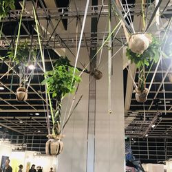 Art Basel 2023