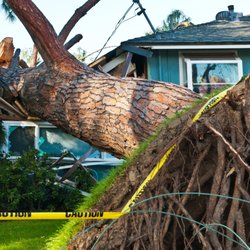 Apex Restoration & Mitigation