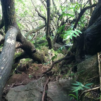 Kalauao Trail - Hiking Near Me - Aiea, Hawaii