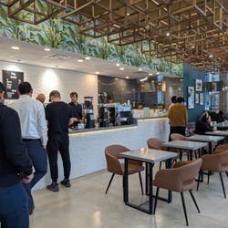 Hale Coffee - Cash counter