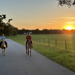 Oxford Big Top Ranch