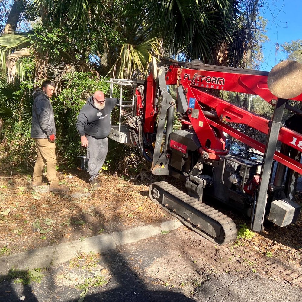 The Branch Manager Tree Service - Tree Services Near Me - Jacksonville, Florida The Branch Manager Tree Service - Tree Services Near Me - Jacksonville, Florida