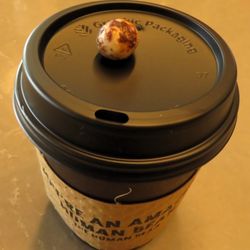 The Human Bean