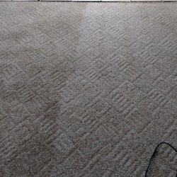 Oxi Fresh Carpet Cleaning - Carpet they left filthy on left vs carpet Im REcleaning myself on the right