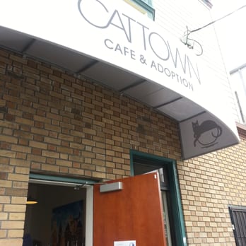 Cat Town - Now open 10/25/14 - Animal Shelters Near Me - Oakland, California Cat Town - Now open 10/25/14 - Animal Shelters Near Me - Oakland, California