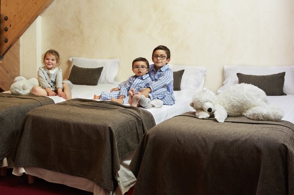 Hôtel L'Arboisie by null