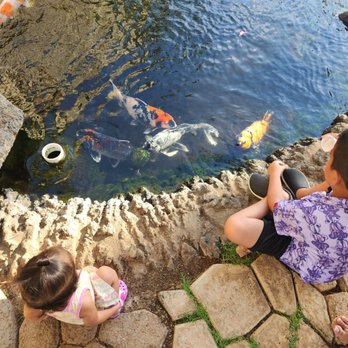 Longhi's - Kids at the koi pond - Seafood Near Me - Kapolei, Hawaii Longhi's - Kids at the koi pond - Seafood Near Me - Kapolei, Hawaii