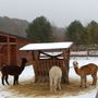 Photo of Ferienpark Templin