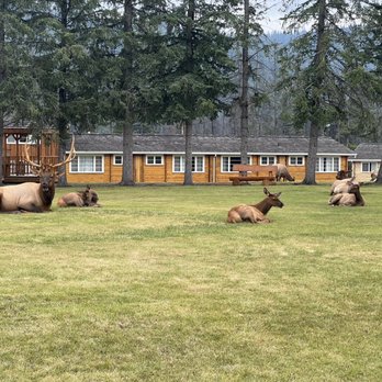 Jasper House Bungalows - Outside our cabins - Hotels Near Me - Jasper, Alberta Jasper House Bungalows - Outside our cabins - Hotels Near Me - Jasper, Alberta