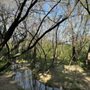 Photo of Buffalo Ridge Park