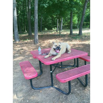 Chattapoochee Dog Park - This is my dog for ya, he loves sitting on benches and tables :P - Dog Parks Near Me - Duluth, Georgia
