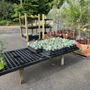 Photo of Lavale Farm and Flower Heaven