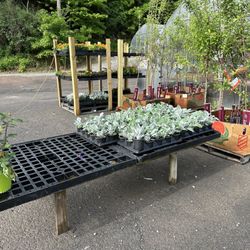 Lavale Farm and Flower Heaven