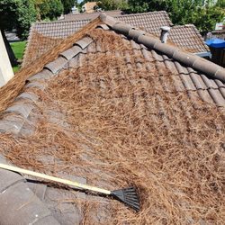 APS Adin Property Services