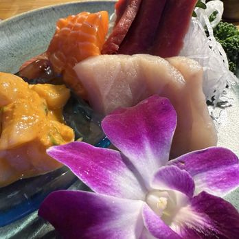 Sushi Damu - Sushi Bars Near Me - Tustin, California Sushi Damu - Sushi Bars Near Me - Tustin, California