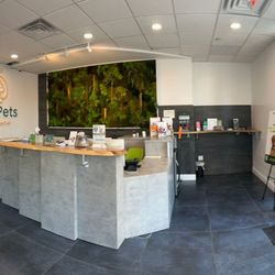 Ivy Pets - Our warm and welcoming reception area