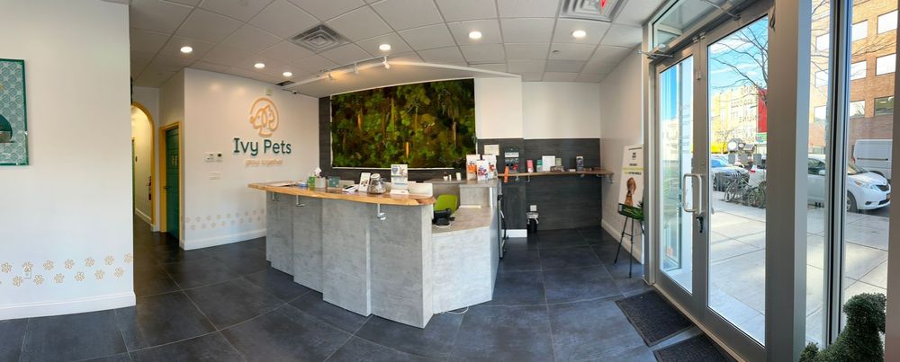 Ivy Pets - pet boarding facility in Brooklyn, NY