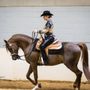 Photo of Peri Lee Show Horses