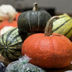 Bountiful Farmers' Market