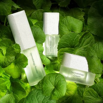 Simply Skin - Skin Care Near Me - Westport, Connecticut Simply Skin - Skin Care Near Me - Westport, Connecticut