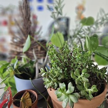 Spoken Coffee - Coffee & Tea Near Me - Boise, Idaho