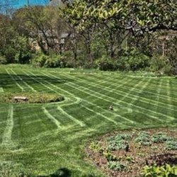 Perez Green Envy Lawns
