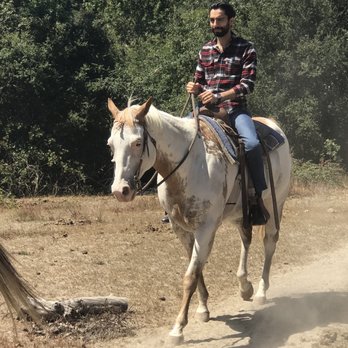 Rollin F Ranch - Horse - Horseback Riding Near Me - Sebastopol, California
