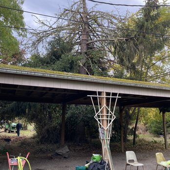 Wild Tree Solutions - Tree Services Near Me