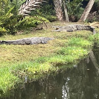 Brevard Zoo - Zoos Near Me - Melbourne, Florida Brevard Zoo - Zoos Near Me - Melbourne, Florida