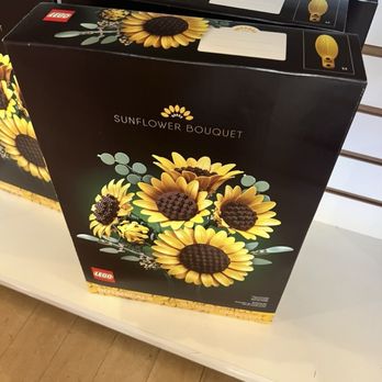 Just For Fun - It's the sun and the flower I saw in SF. The sun always shines on social media - Toy Stores Near Me - San Francisco, California