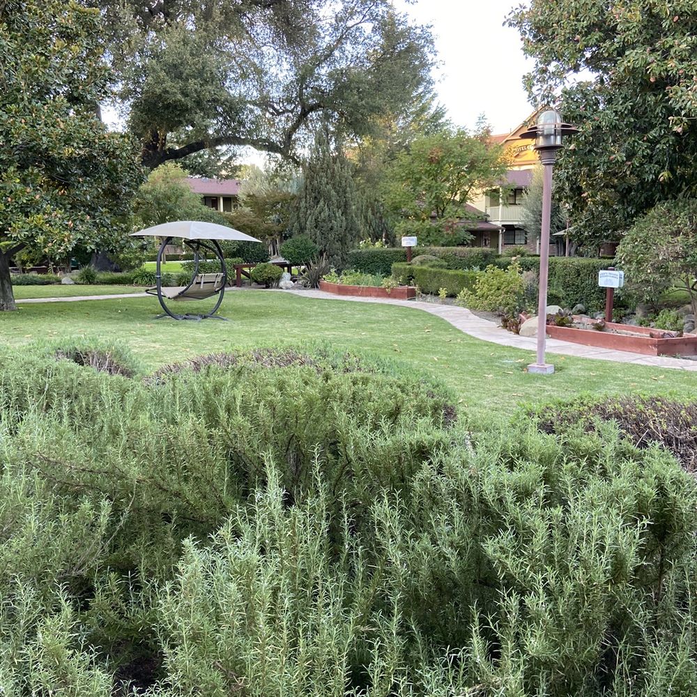 Paso Robles Inn - Garden from our Roo Patio - Hotels Near Me - Paso Robles, California Paso Robles Inn - Garden from our Roo Patio - Hotels Near Me - Paso Robles, California