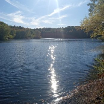 Gammino Pond Preservation Area - Parks Near Me - Seekonk, Massachusetts