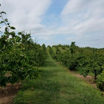 Lyman Orchards - Really huge farm - Fruits & Veggies Near Me - Middlefield, Connecticut