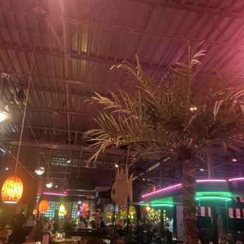 Flamingo Grill - Seafood Near Me - Myrtle Beach, South Carolina Flamingo Grill - Seafood Near Me - Myrtle Beach, South Carolina