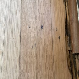 missing filler and poorly applied
